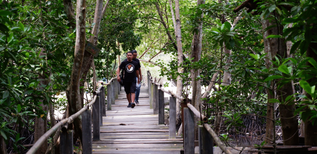 Pariwisata Alam