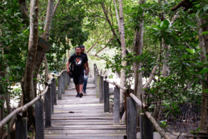 Pariwisata Alam