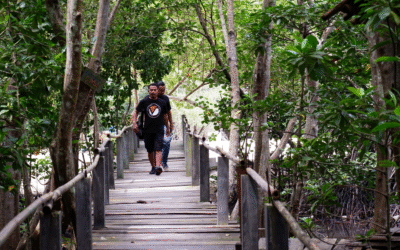 Pariwisata Alam