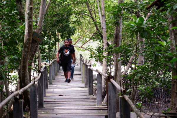 Pariwisata Alam